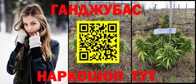 дмт Донской