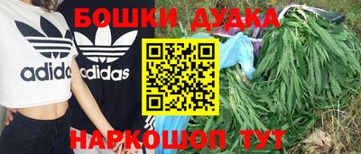 дурь Дубна